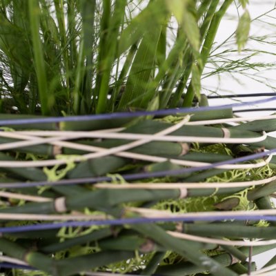 Charming white and purple Freesia bouquet