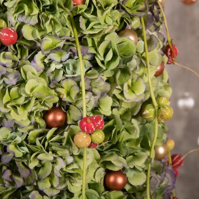 Christmas with Classic Hortensia 