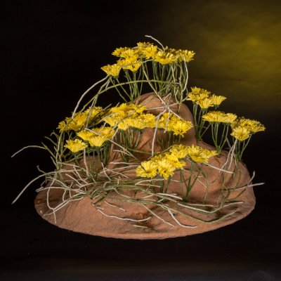 Floral treasure Nibali