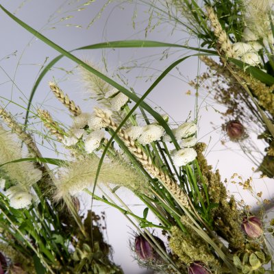 Pizarro and dried flowers