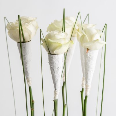 Winter wonder roses