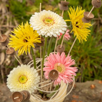 Ostrich egg filled with mini Gerberas