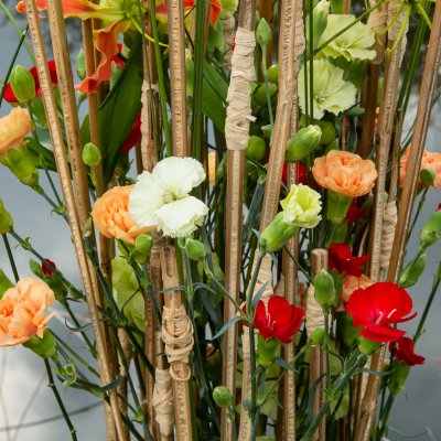 Fresh carnation arrangement