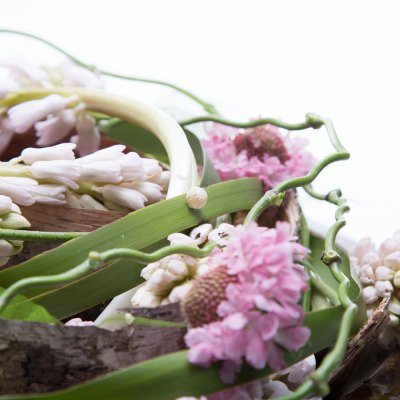 Spring flower arrangement with Hyacinths