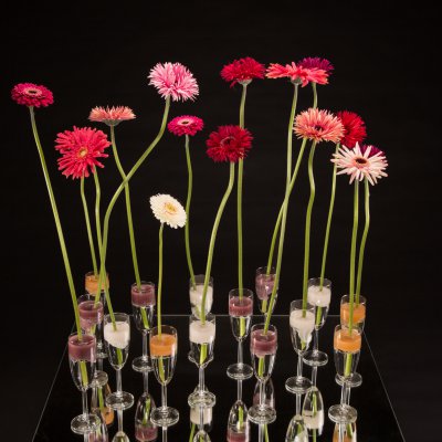 Festive mini Gerbera glasses
