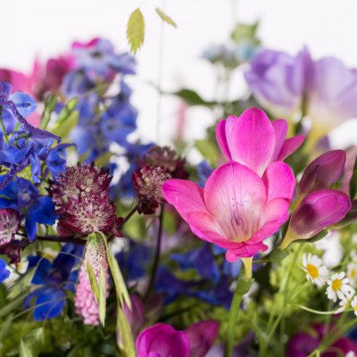 Freestyle Freesia field bouquet