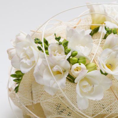 Soft knot - Floral design with white Freesia