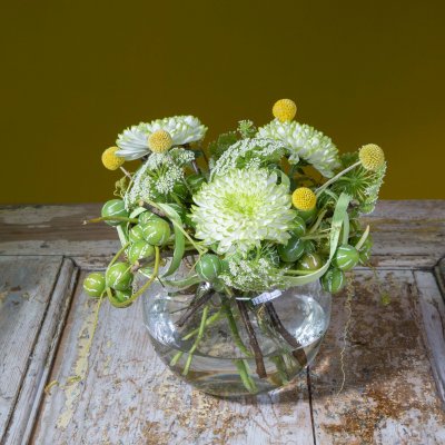 Dressed in Diplocyclos