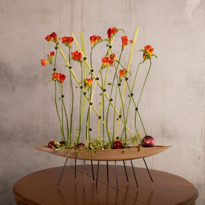 Festive Freesia framework