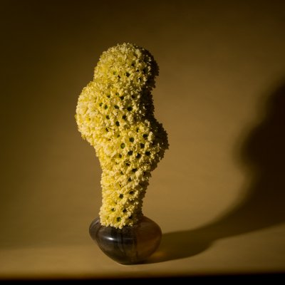 Organic shapes and floral treasures