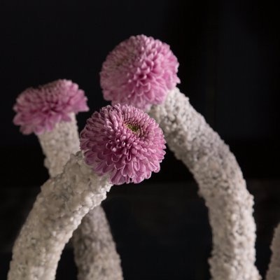 Fun Vanya Pink