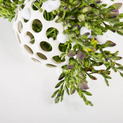 Colourful Freesia sphere