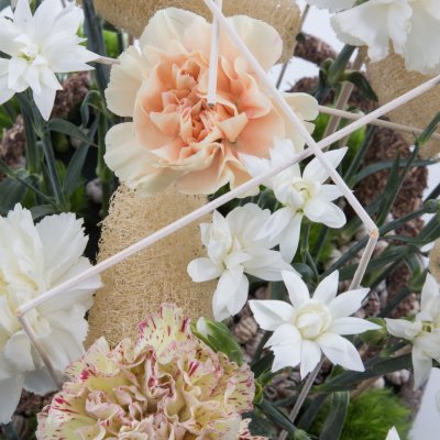 Dianthus centrepiece Dianthus centrepiece