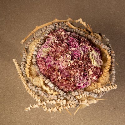 Elegant and contemporary carnation bouquet