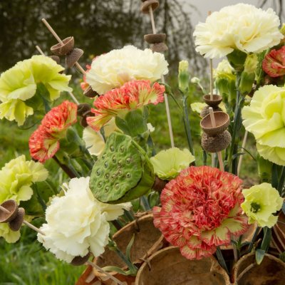 A trendy Dianthus frame bouquet