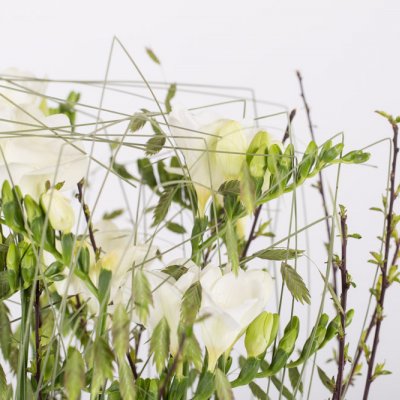 Small Freesia forest