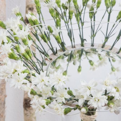 Reflecting Dianthus bouquet