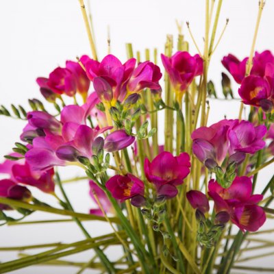 Powerful #FreestyleFreesia bouquet