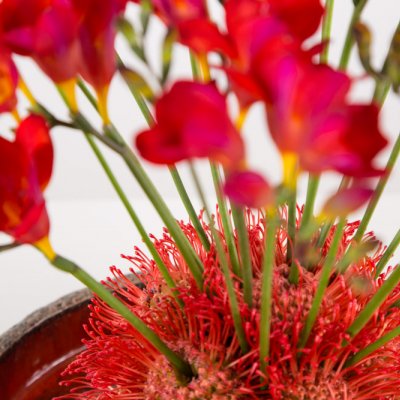 Fiery Freesia design