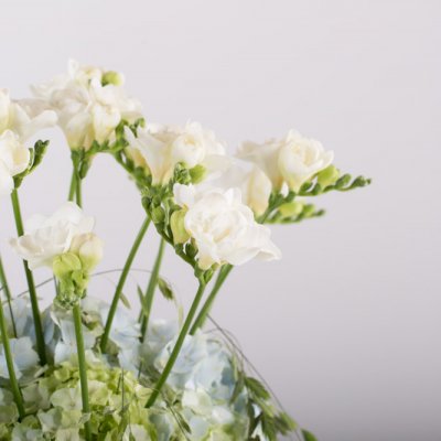 Romantic Freesia vaas design