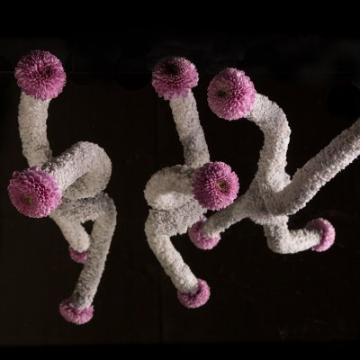 Fun Vanya Pink