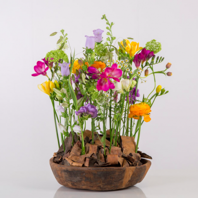 Colourful Freesia arrangement 