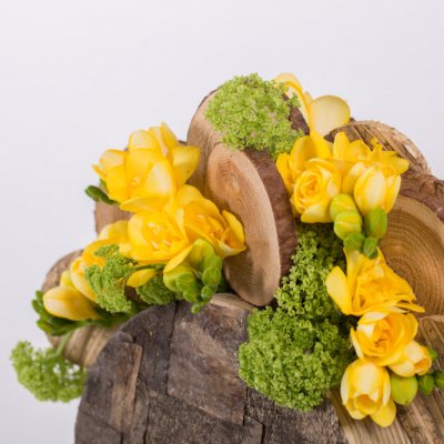 Lumberjack arrangement with Freesia