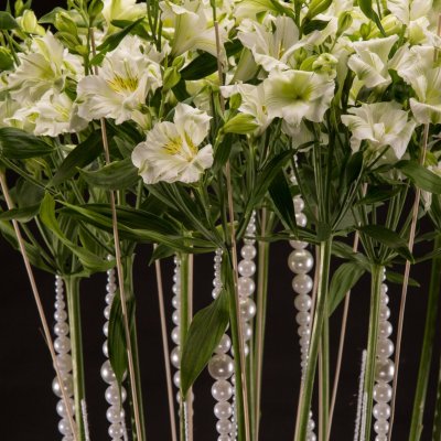 White Alstroemeria and pearls