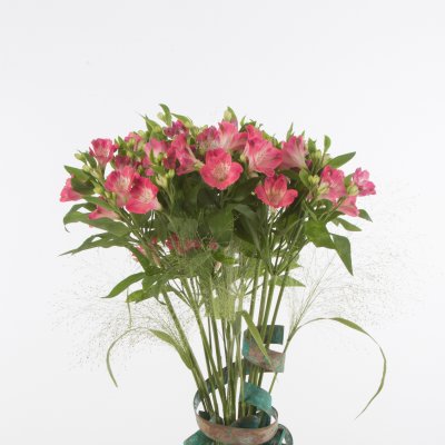 Bright copper Alstroemeria arrangement