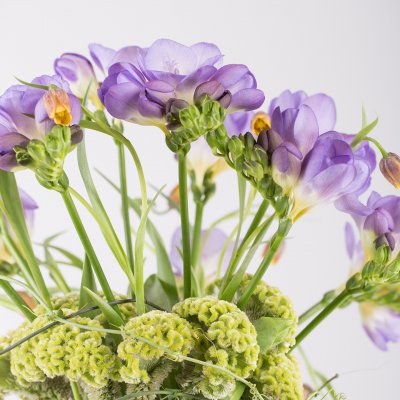 The mystery of the sea