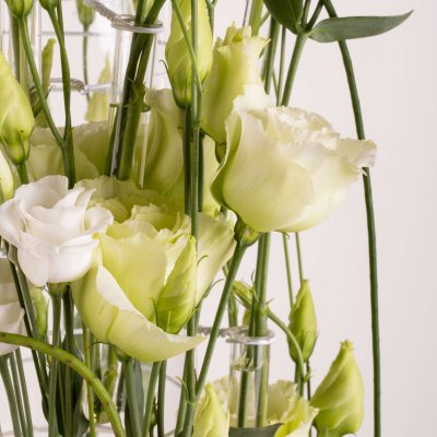 Airy Lisianthus design