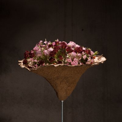 Surprising spray roses