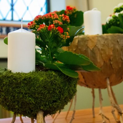 Advent arrangement with Kalanchoë