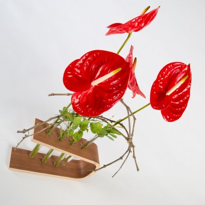 Cool Anthurium design