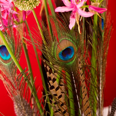 Feathery flower arrangement