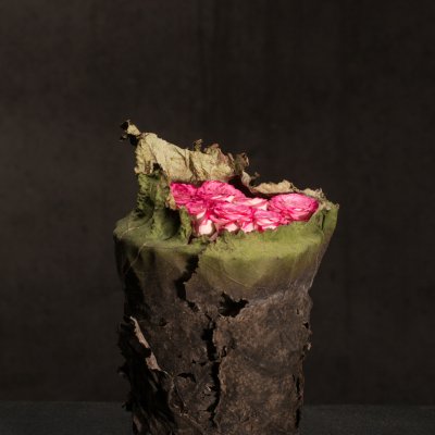 Flowering of love