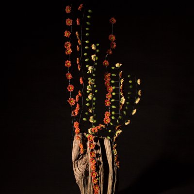 Pretty autumn flower jewel: Pimento Orange