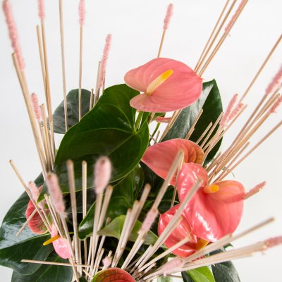 Pink Anthurium arrangement