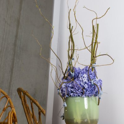 Fragrant Hyacinths for Mother's Day
