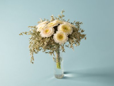 Summer flowers Summer flowers