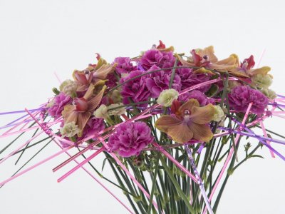 Special Dianthus bouquet in a frame