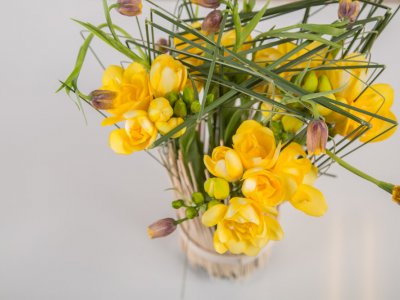 Freesia standing in tall grass