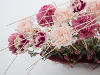 Boat with Dianthus