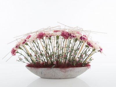 Boat with Dianthus