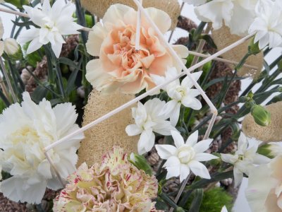 Dianthus centrepiece