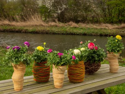 Spring flower ideas Spring flower ideas