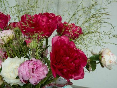Peonies in an Italian vase