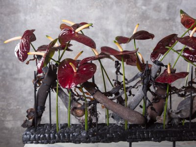 Dramatic flower arrangement with Anthurium Black Queen