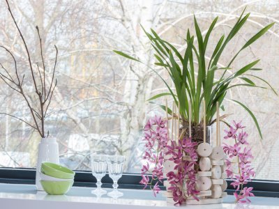 Cascade Cymbidium Anisa and wood
