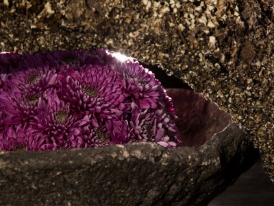 Floral design with Romance Purple Floral design with Romance Purple